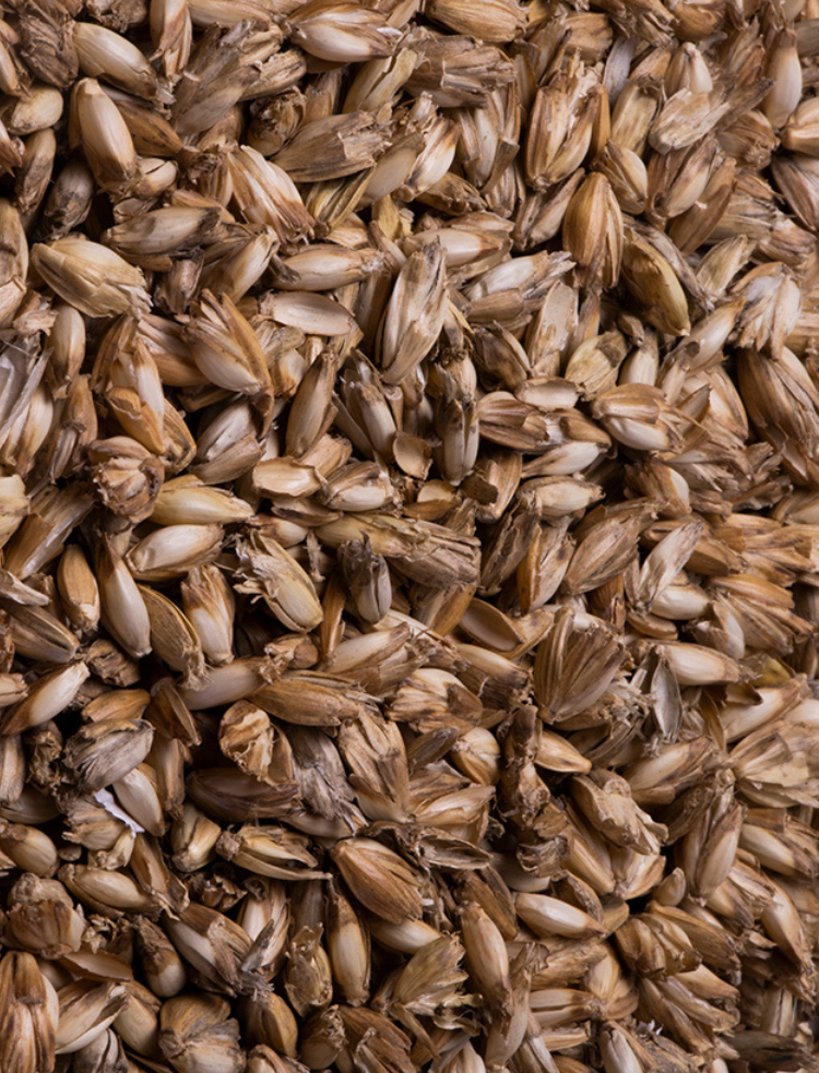 loose organic spelt husks 