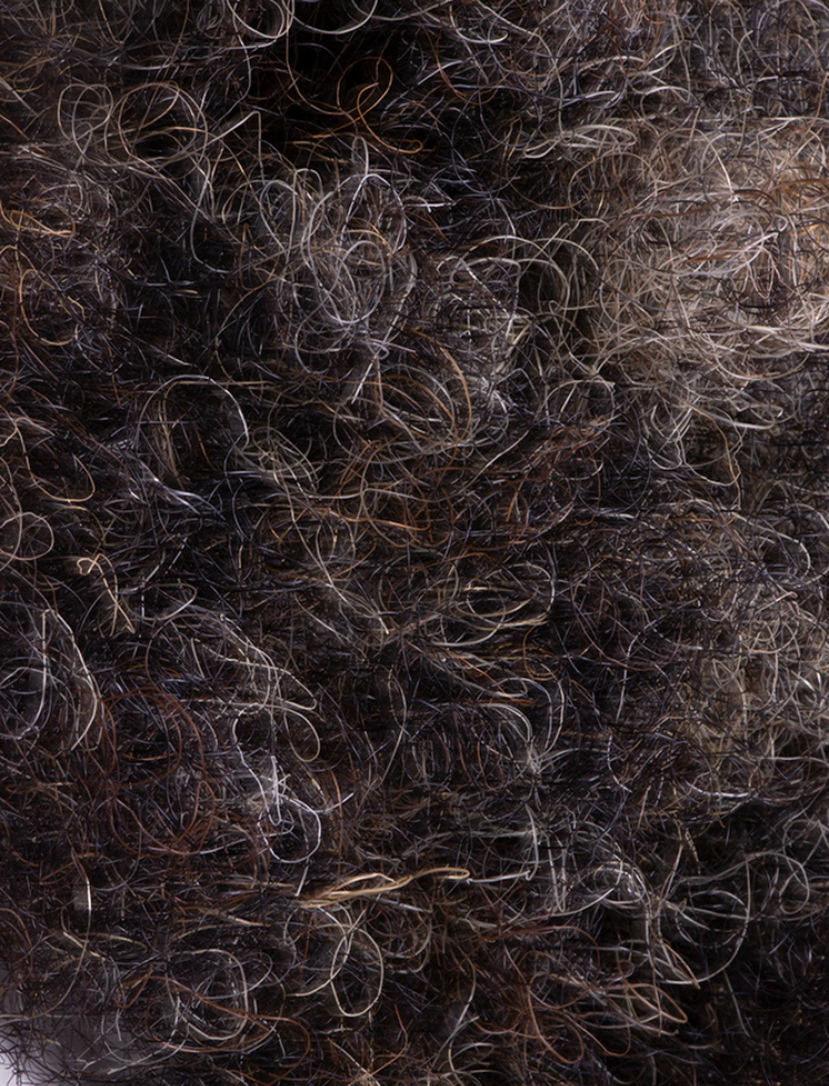 loose natural horse hair