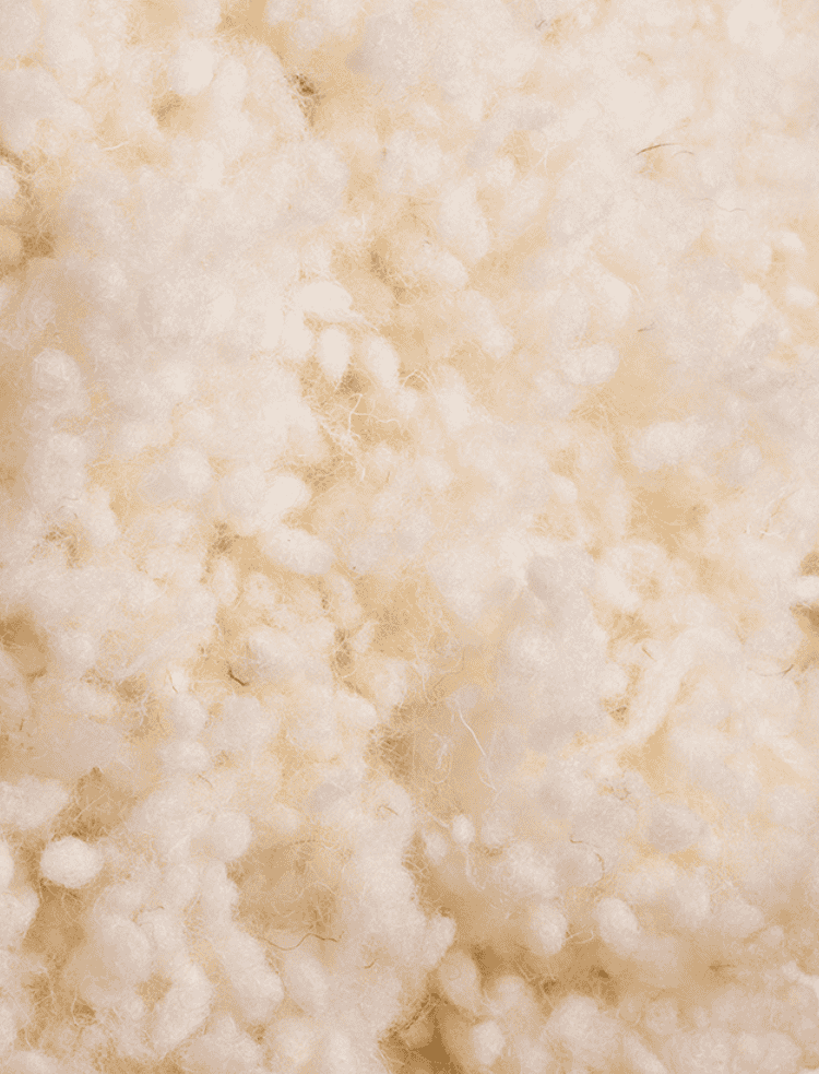 organic wool flat pillow