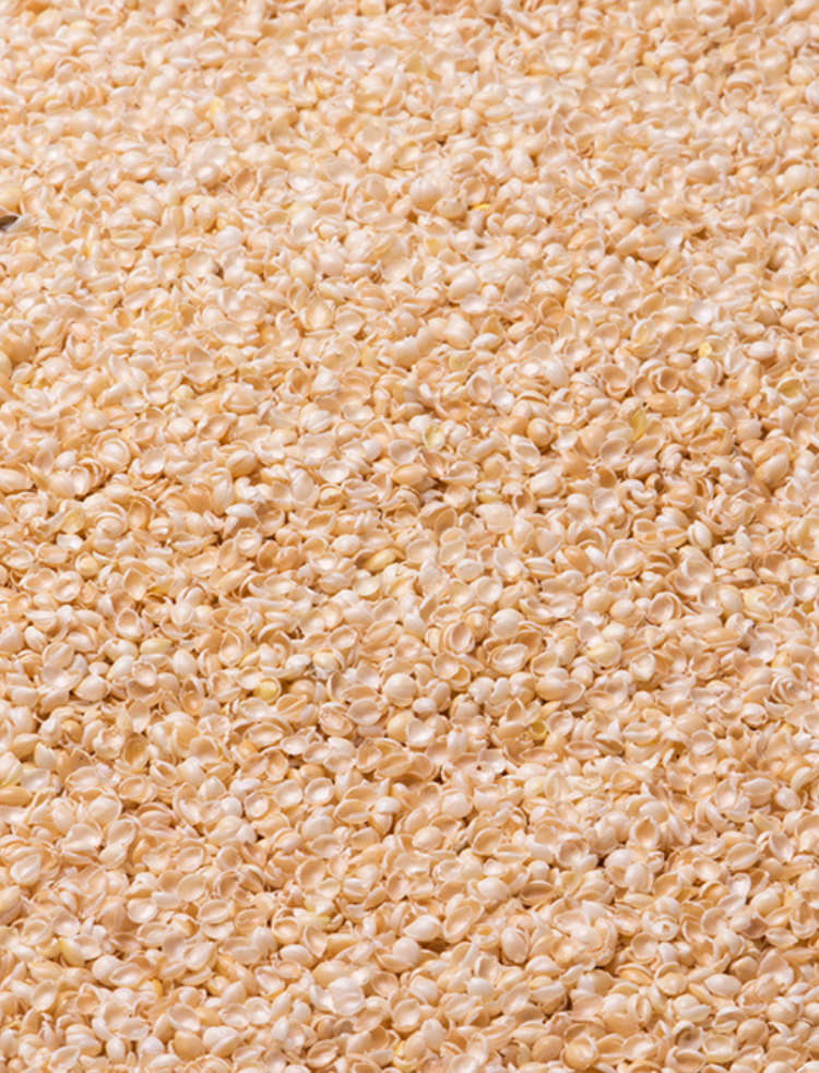 organic millet pillow with undyed natural organic cotton quilted cover with zip opening 