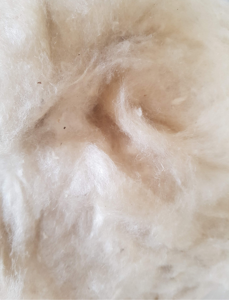 natural kapok fibres for pillow and cushion filling