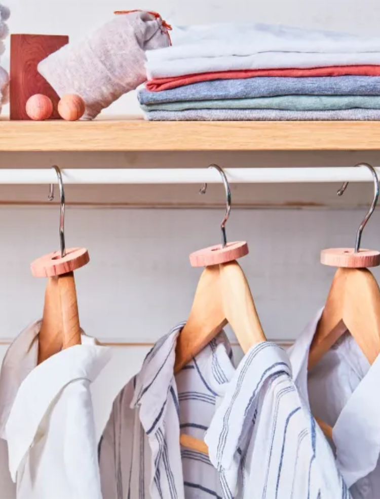 natural moth repellent cedar wood discs 