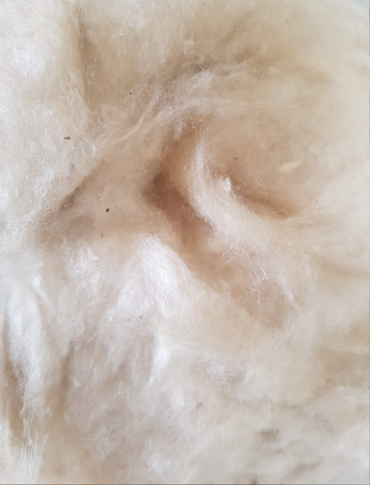 organic cotton and kapok all year duvet with organic cotton cover