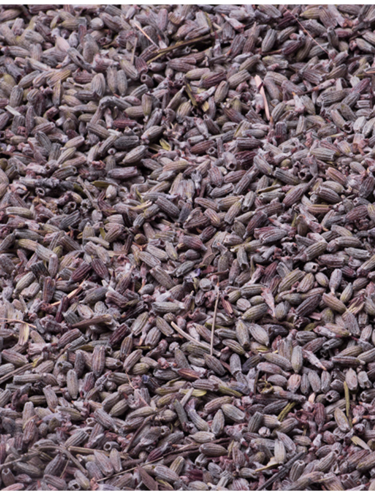 organic dried lavender flowers 