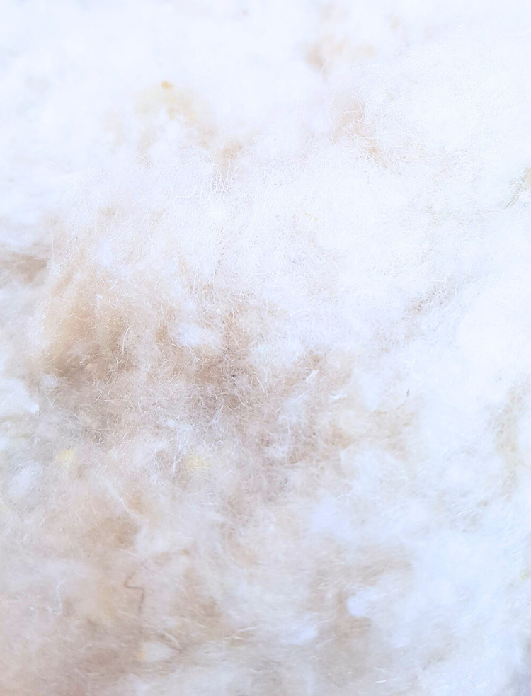 wild silk filled all year duvet with organic cotton batiste cover 