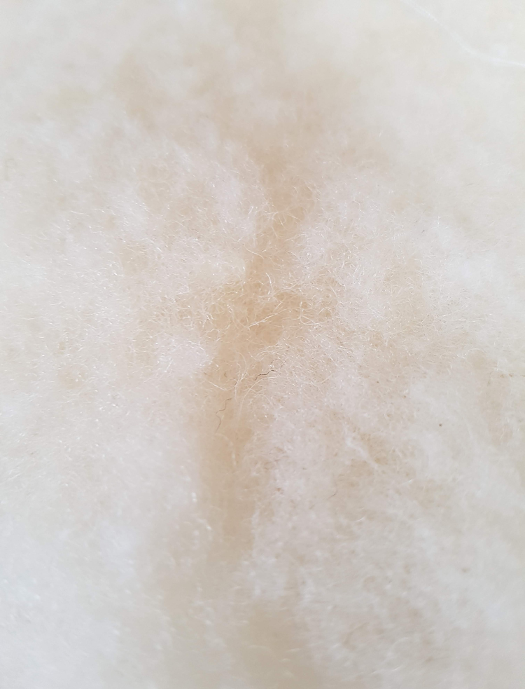 organic wool winter duvet with undyed organic cotton cover 