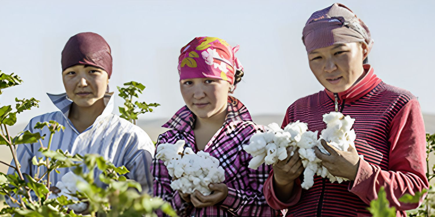 fairtrade workers ladies in a field