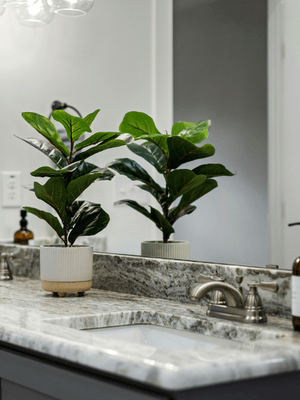 a clean bathroom counter with a plant