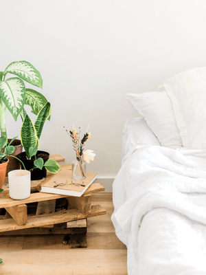 green plants on a beside table next to a bed with white bedding